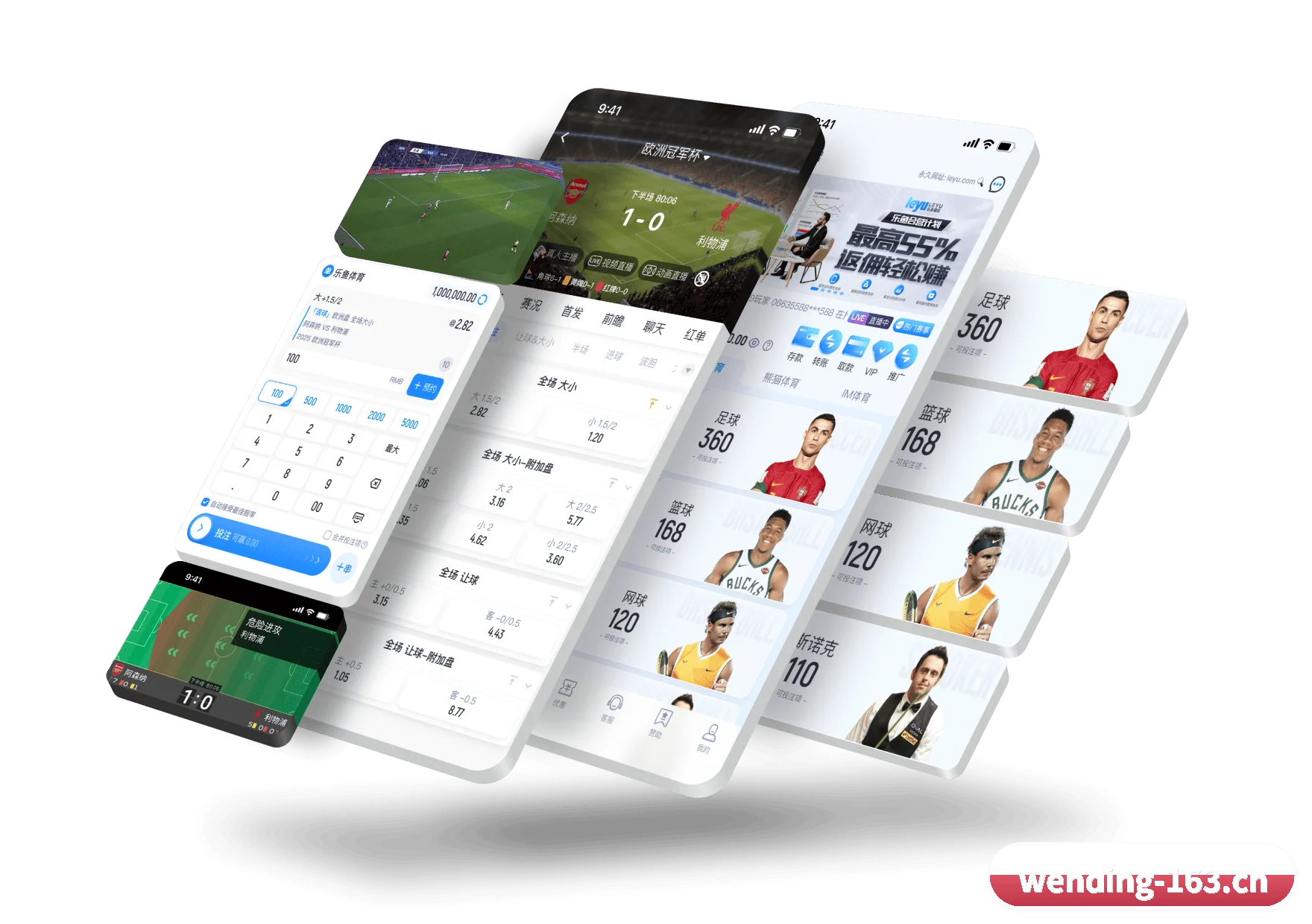 问鼎娱乐 APP 深度功能(WENDING)